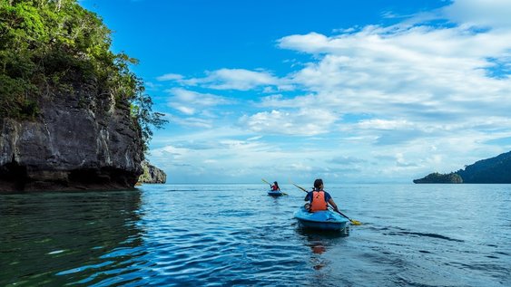 Mangrove Kayak Langkawi